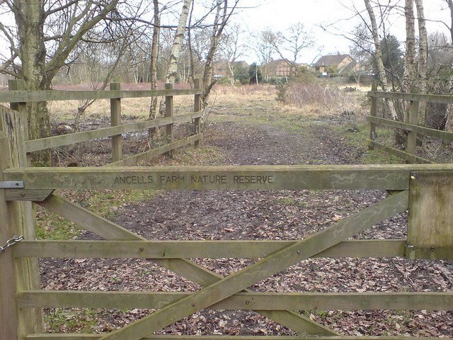 Photograph accompanying Billingside Meadows: visitor information